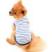 PAIDEFUL British Striped Dog Shirt for Small Medium Dogs Cats - Breathable Soft Cotton Vest Tee for Puppy Chihuahua Yorkie - Blue XS - Buy Online on GoSupps.com