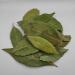 AgoraMarket Wild Dried Bay Leaves 85g 195KG Selected 460 grams - Buy Online on GoSupps.com