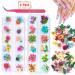 2 Boxes Dried Flowers for Nail Art  KISSBUTY 24 Colors Dry Flowers Mini Real Natural Flowers Nail Art Supplies 3D Applique Nail Decoration Sticker for Tips Manicure Decor (Gypsophila Flowers Leaves)