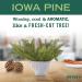 Mrs. Meyer's Clean Day Room Freshener - Iowa Pine, 8 Fl Oz | Natural Air Freshener - Buy Online on GoSupps.com