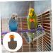 PopetPop 3 Pack Flying Bird Diapers - Parrot Accessories for Nymphatic & King Cotton | International Shipping - Buy Online on GoSupps.com