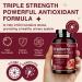 NATURE TARGET Cranberry Pills with D-Mannose for Women - Super Strength 80:1 Extract - Cranberry Supplement 16800 mg with Vitamin C, Supports Urinary Tract Health, Bladder Control, 120 Veggie Capsules 120 Count (Pack of 1) - Buy Online on GoSupps.com