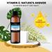 100% Pure Vitamin E Oil for Skin, Scars, Hair & Nails - Moisturizing & Hydrating - Vegan & Cruelty Free - 10ml Pack - Buy Online on GoSupps.com