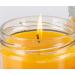 Pet Odor Exterminator Candle Set - Orange Lemon Splash and Clothesline Fresh 13oz Jars - Buy Online on GoSupps.com
