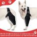 Dog Leg Bracket Pet Dog Leg Support Bracket Dog Hind Leg Protection Device Adjustable Knee Bracket Leg Bracket Dog Arthritis Bracket for Dog Hind Leg Rehabilitation XL - Buy Online on GoSupps.com