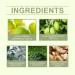 Hair Gloss Styling Cream Styling cream for curly hair regenerates and improves frizz creating a natural look 100g (1PC) - Buy Online on GoSupps.com