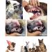 11-Piece Dog Toothbrush Set - Silicone Finger & Double-Headed Brushes | Professional Pet Dental Care Tools for Optimal Oral Hygiene - Buy Online on GoSupps.com