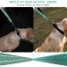 Vivaglory Short Dog Leash - 32cm Training Line for Medium & Large Dogs - Green Traffic Leash - Buy Online on GoSupps.com