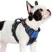 Rabbitgoo dog harness Small dogs dog harness without train adjustable dishes dog without choking anti -pull dog harness with handle soft padded reflective chest harness blue S S (1 Pack) blue