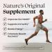 Optimal Prime MUUU Bovine Colostrum Powder - Superfood for Gut Health Immune Support & Beauty | 120 Servings Unflavored - Buy Online on GoSupps.com