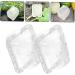 Milisten 2pcs Fruit Shaping Mold Fruits Small Fruit Mold Shaper Mold Fruit Accessory Accessories Vegetable - Buy Online on GoSupps.com