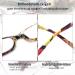 Cojwis 4 Pack Women's Reading Glasses - Stylish Patterns Spring Hinges 2.00x Magnification 4 Colors - Buy Online on GoSupps.com