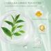 Green Tea Purifying Clay Stick Mask - Deep Cleansing & Oil Control for All Skin Types - Buy Online on GoSupps.com