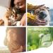 Reavet Relax Paste for Dogs - 30ml Natural Calming Solution | Ideal for Stress Fear & Aggression in Dogs - Buy Online on GoSupps.com