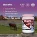 Integricare - Tri-Acta H.A. Maximum Strength Equine Formula All-Natural Horse Joint Supplement with Glucosamine Chondroitin Hyaluronic Acid and Msm for Horses 3kg - Buy Online on GoSupps.com