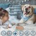Knitly Licking Pads for Dogs 2Pcs - Slow Feeder Mat with Suction Cups | Boredom & Anxiety Reducer for Large Medium Small Dogs | Ideal for Food, Treats, Yogurt, Peanut Butter - Buy Online on GoSupps.com