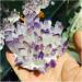 Crystal Rough Natural Crystal Cluster Amethyst Specimen Ore Purple Quartz Reiki Stone Raw Crystal Home Decor Decoration Gift (Size : 500-600) - Buy Online on GoSupps.com