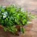 Pristine Dried Parsley Leaves 250g (8.8oz) - 100% Pure Natural Herb for Spice Mixtures | Pack of 1 - Buy Online on GoSupps.com