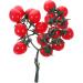 Ciieeo 4pcs String Simulated Cherry Tomatoes Kids Educational Toy Simulation Realistic Foam Food Mini Toys Decorative Cherry Tomatoes Faux Pvc Red Child Household Small Tomatoes Redx4pcs 18X16CMx4pcs - Buy Online on GoSupps.com