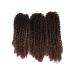 Eunice Hair 3 Packs Ombre Brown Braids Extensions - T1B/30 8-12 Inch Marlybob for African American Styles - Buy Online on GoSupps.com