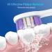 Buy Sonicare Replacement Heads for Philips Electric Toothbrush - Compatible Snap-on Brush Heads KD-D3 | International Shipping Available - Buy Online on GoSupps.com