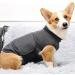 Petyoung Dog Anxiety Jacket Brethable Soft Anxiety Dog Vest Wrap Shirt Relief Calming Coat for Small Medium Large Dogs - Buy Online on GoSupps.com