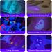LEAGY 6 Pack UV Ultra Violet Blacklight 9 LED Flashlight Torch Light Outdoors Etc Multicolored - Buy Online on GoSupps.com