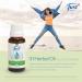 Swiss Just Oleo 31 Essential Oil 20ml - 31 Aromatherapeutic Oils for Refreshing Massage & Aromatherapy - Eucasol Combo - Buy Online on GoSupps.com