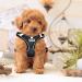 Rafiyu Anti-Zug Dog Harness for Small & Medium Dogs Breathable Lightweight Safety Harness for Puppies & Dogs - Perfect Fit for Comfort - Buy Online on GoSupps.com