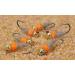 Tungsten Bead Head Hot Spot Hares Ear Jig Fly - Euro Nymph - Hanak Hooks - 6 & 8 Flies Packs 6ct Hook #14 - Buy Online on GoSupps.com