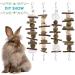 Erkoon 70PC Rabbit Toy Set - Natural Timothy Grass & Wooden Chew Accessories for Bunnies Chinchillas Hamsters and Guinea Pigs - Buy Online on GoSupps.com