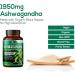 Organic Ashwagandha Capsules - Extra Strength Stress & Thyroid Support - Vegan Non-GMO - 60 Capsules - Buy Online on GoSupps.com