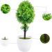 TOPBATHY 2pcs Cherry Blossom Potted Plant Bonsai Micro Small Indoor Plants The Office Decor Office Desk Decorations Room Plants Indoor House Plants Artificial Plastic Decorative Flower Greenx2pcs 31x9.5cmx2pcs - Buy Online on GoSupps.com