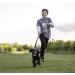 Sweetie Bungee Dog Lead Shock Absorber - Strong 4-5.6FT Leash with Padded Handle - Reflective Anti-Pull Leads for Small, Medium & Large Dogs - Buy Online on GoSupps.com