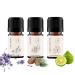 Dream night trio I High-quality essential oils I 100% Bio & Naturrein I Atlaszeder Bergamot Lavendel I Aroma Therapy For Receiving Sleep I 5ml set by Floria Natural
