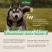 Aniforte Grasmilbel Ex Spray 500ml - Effective Grass Mite & Parasite Defense for Dogs | Soothes Itchy Skin - Buy Online on GoSupps.com