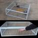 Pigeon Loft Entrance Door for Racing Supplies | 30cm/12in Pigeon House Trap Door - Buy Online on GoSupps.com