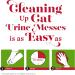Nature's Miracle Stain & Odor Remover Just for Cats Pet Stain Eliminator Original White 17.5oz (Foam) 17.5oz (Foam) Nature's Miracle JFC Stain & Odor Remover - 17.5oz Foam Aerosol - Buy Online on GoSupps.com