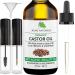 Jeune Naturelle Castor Oil Organic Cold Pressed Unrefined - 100% Pure Raw Virgin Undiluted for Hair Growth for Face Eyelashes Eyebrows Hexane Free Organic Castor Oil for Hair 2 oz 2 Fl Oz (Pack of 1)