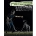 Reflective Pink Jogging Leash & Belt for Dogs | Double Handle Pocket Design for All Breeds - Buy Online on GoSupps.com