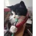 Petdentist Manual Large Dog Toothbrush with Gentle Soft Charcoal Bristles for Dogs Teeth Cleaning Tartar and Plaque Off Easily and Best for Cat Dog Gingivitis - Buy Online on GoSupps.com