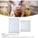 Boar Sperm Extender Long Lasting Sperm Dilution Powder Extend Sperm Viability for Pigpen - Buy Online on GoSupps.com
