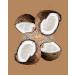 Toasted Coconut Cashews by Karma Nuts | Vegan, Gluten-Free, Low Carb Snack | 1.5 oz (12 Packs) - Buy Online on GoSupps.com
