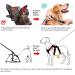 Heele Reflective Dog Crockery & Harness - Durable Comfortable Fit Panic-Resistant Red - Buy Online on GoSupps.com