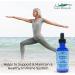 Eidon Ionic Mineral Supplements - Immune Support Liquid Concentrate 2 oz - Buy Online on GoSupps.com