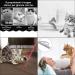 Faburo Cat Toys for Indoor Cats Cat Chaser Toys 2 in 1 Function Great for Pet Exercise Used as LED Flashlight(4PCS) - Buy Online on GoSupps.com