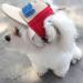 PetPhindU Dog Sun Hat | Baseball Cap for Pets - Red Peaked Cap with Letter Print - Shading Accessory for Dogs - Buy Online on GoSupps.com