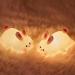 OkiyiD Bunny Night Light - Cute Rabbit Lamp for Nursery, Touch Control, Dimmable, Rechargeable - Perfect Birthday Gift for Boys and Girls - Buy Online on GoSupps.com