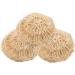 Housoutil 9 Pcs Shower Cleaning Balls - Exfoliating Loofah & Sponge Set for Bath & Shower - Perfect for Toiletries - Buy Online on GoSupps.com