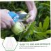 VINTORKY 3pcs Vegetable Mold Ginseng Creative Melon Fruit Accessory Forming Machine Gourd - Buy Online on GoSupps.com